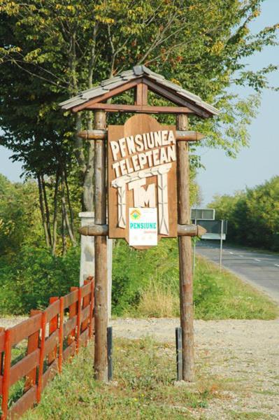 Pension Teleptean Ocna Şugatag Екстериор снимка